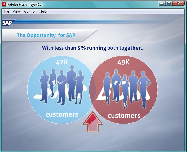 SAP Project Screenshot